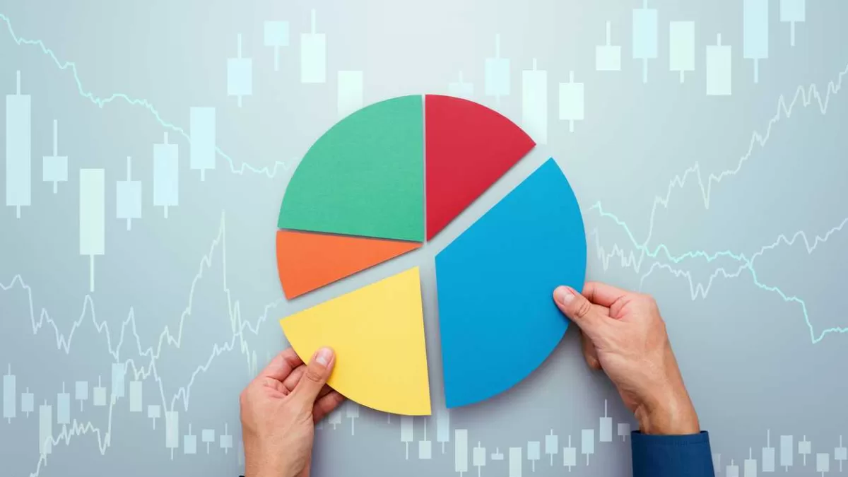 Diversification Strategies in Venture Capital: Spreading Risk for Long-Term Success